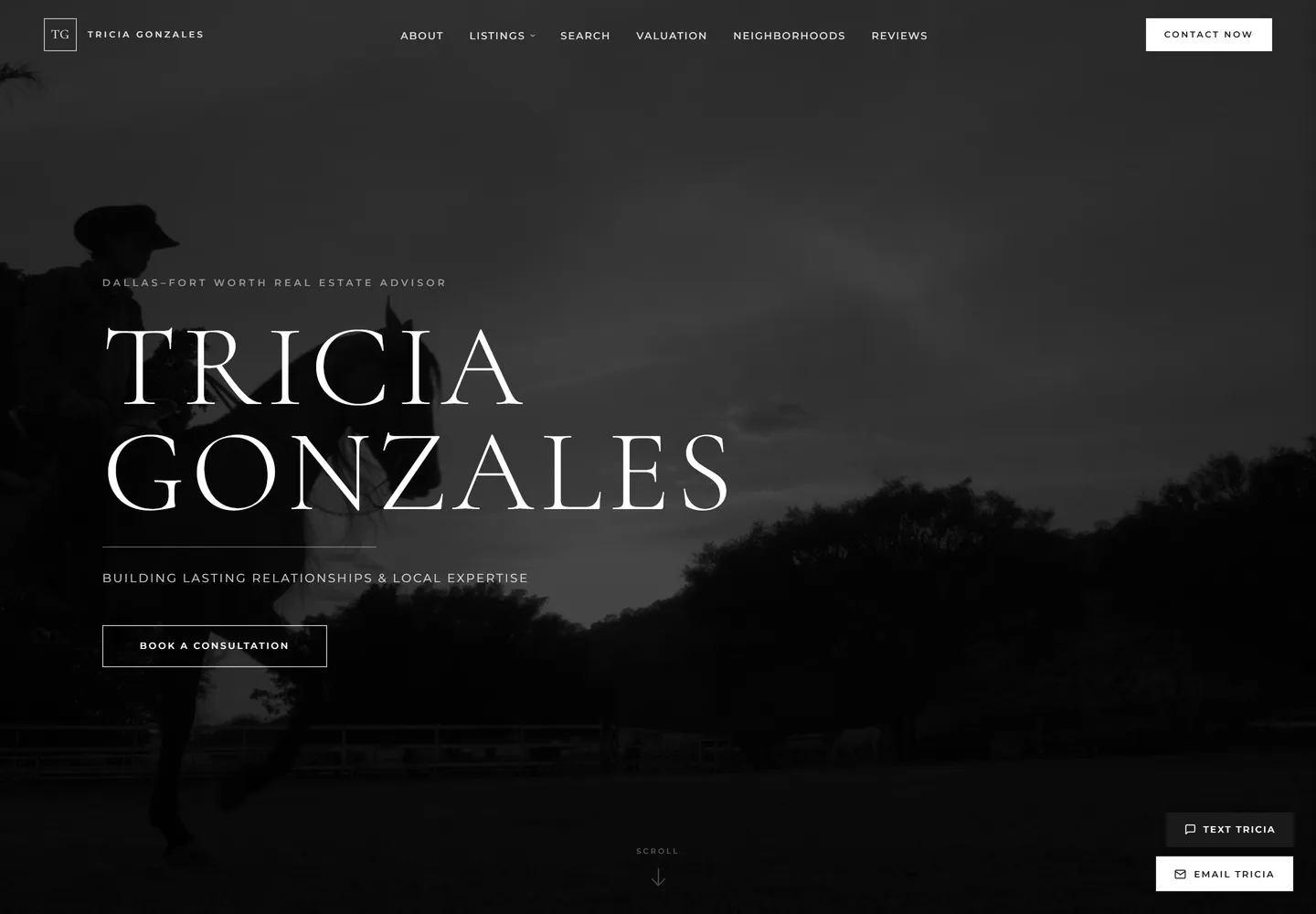 Tricia Gonzales website